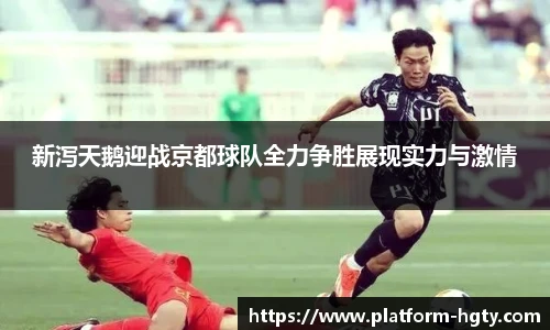 新泻天鹅迎战京都球队全力争胜展现实力与激情